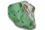 Polished Pastel Green Lucin Variscite ( g) - Utah #256282-1